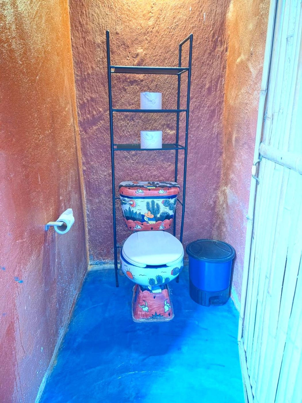The bath at Two bedroom Delight, a hand-painted cactus toilet