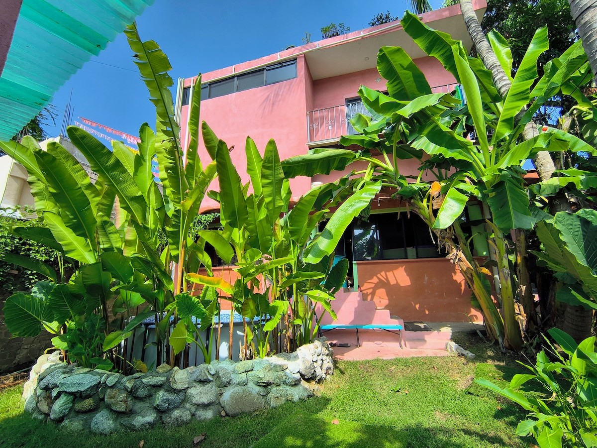 The pink house at Casa Rosa, banana leaves in the garden on Las Conchas