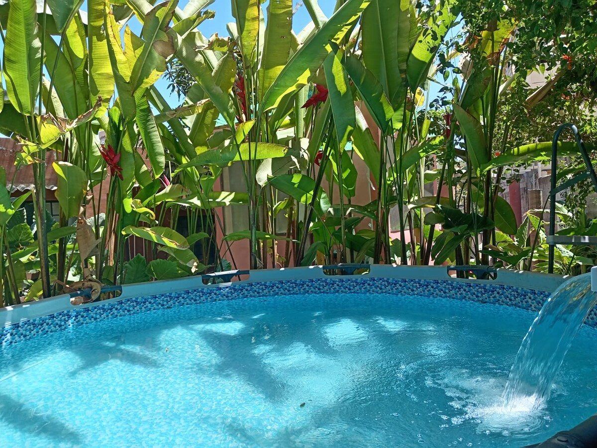 Saltwater pool in the garden at Casa Rosa, mosaic rim and a spout of water, heliconia against the pink wall